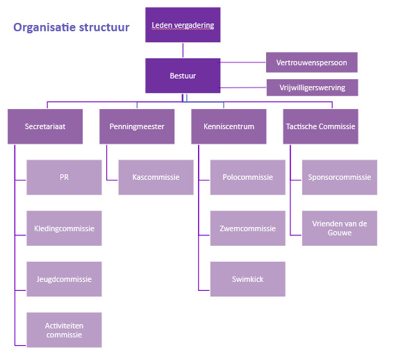 organisatiestructuur